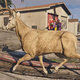 Illustration for article titled Modded Deer Is Running Buck Wild In GTA V